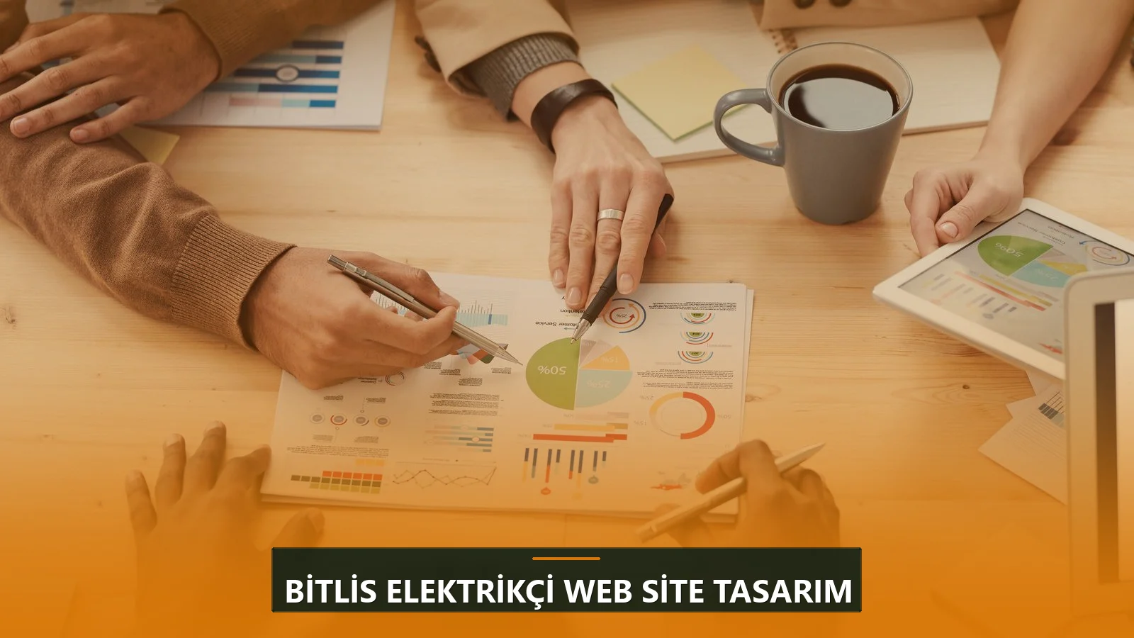 Bitlis Elektrikçi Web Site Tasarım